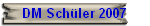DM Schler 2007